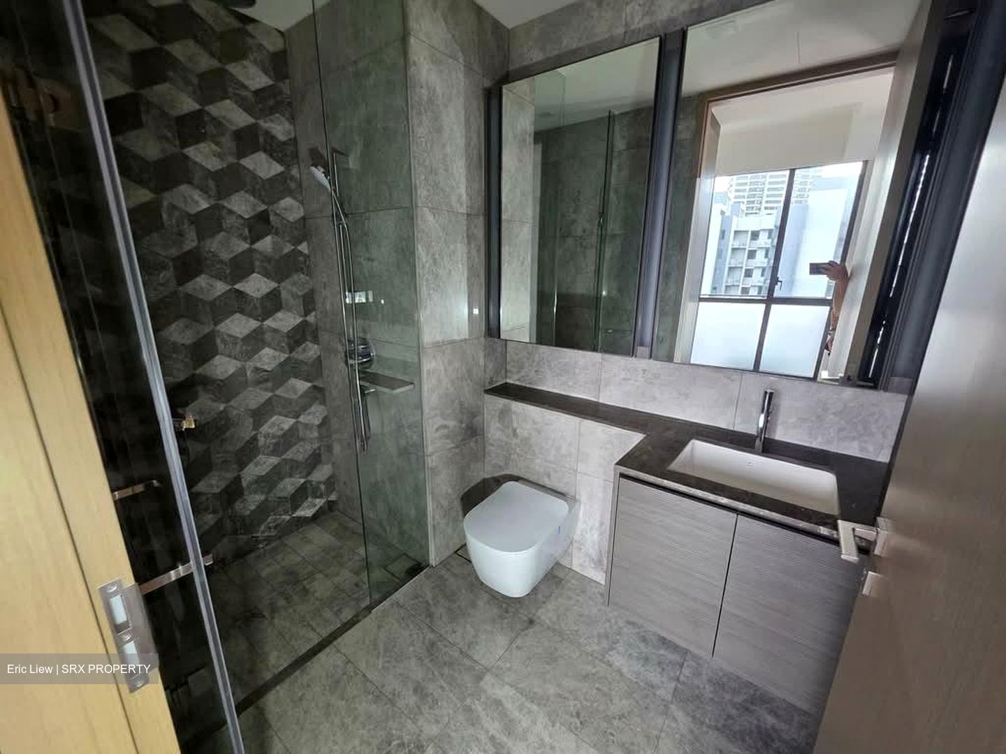 Leedon Green (D10), Condominium #578638531